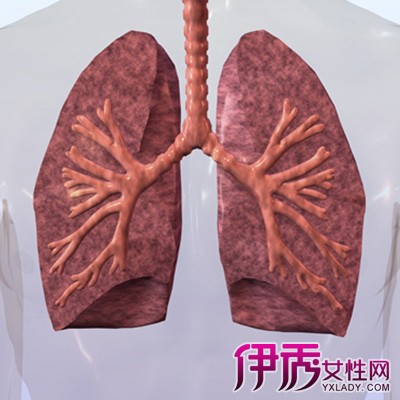 呼吸系统疾病引起的肺痛危害大,及时检查治疗是关键.