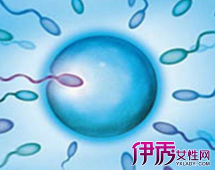 【精子存活率】【图】解密男性精子存活率问题