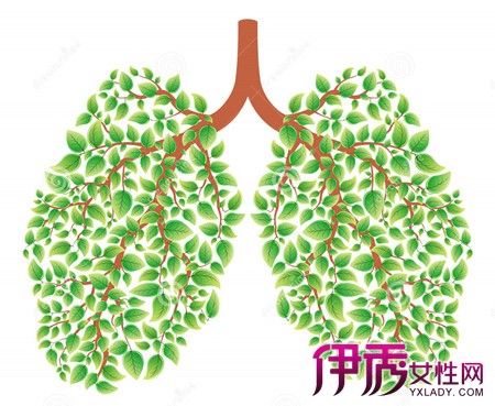 【矽肺治疗】【图】了解矽肺治疗及判断 肺病