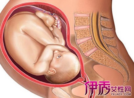 【图】怀孕九个月胎儿图欣赏 准爸准妈产前5大注意事项