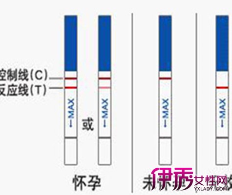 【图】早孕试纸测试怀孕的图片 早孕试纸多久能测出来