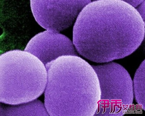 【梅毒治疗方法】【图】分析梅毒治疗方法 揭