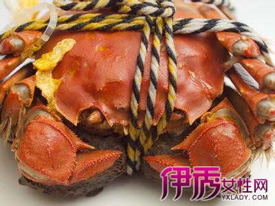 【吃螃蟹不能喝什么酒】【图】吃螃蟹不能喝什