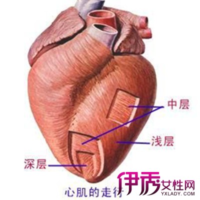 【图】专家论证心肌梗塞后能活多久 早发现早治疗及时控制