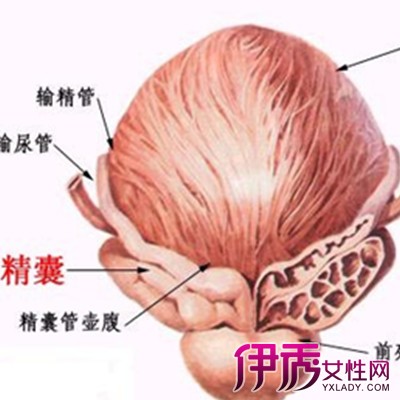 【前列腺囊肿】【图】先进方法治疗前列腺囊肿