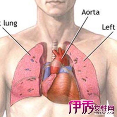 【图】心肺功能不好的表现症状 2种方法教你增强心肺功能