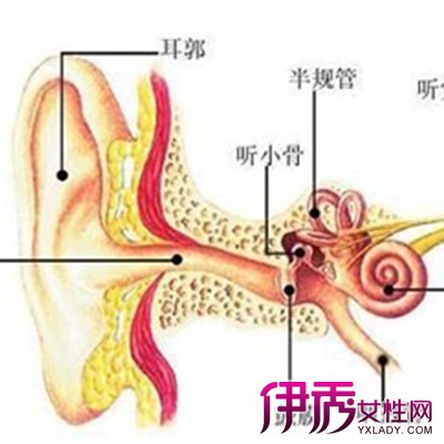 【图】耳膜炎的症状是什么 耳膜炎的治疗法揭晓