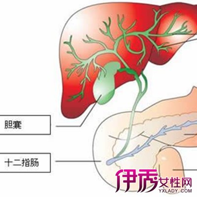 【图】揭秘结石性胆囊炎症状 4种饮食要注意的事项