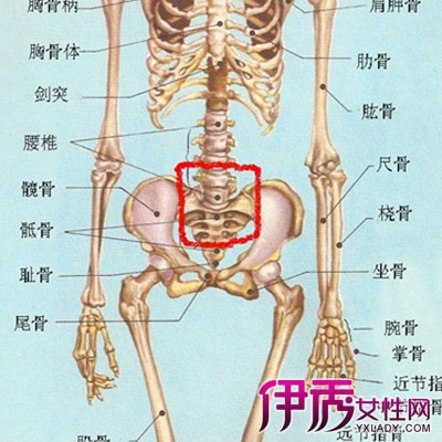 【图】尾椎骨疼痛的原因有哪些 介绍尾椎骨的病变症状