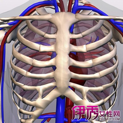 【图】肋骨断了需要手术吗? 3种不同的治疗方式介绍