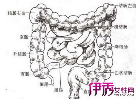 【肠粘连的治疗方法】【图】介绍肠粘连的治疗