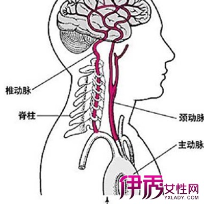 【脑供血不足怎样调理】【图】脑供血不足怎样