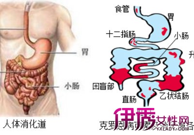 【肠道属于哪个科】【图】在医院看诊肠道属于