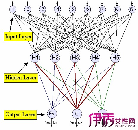 【图】人工神经网络是什么 有什么基本特征