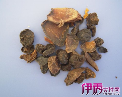 【祛风湿药】【图】什么是祛风湿药 与你一起