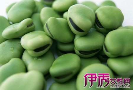 【蚕豆不能和什么一起吃】【图】蚕豆不能和什