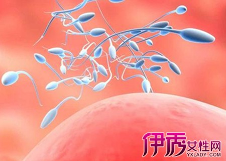 【检查精子成活率要注意些什么】【图】检查精