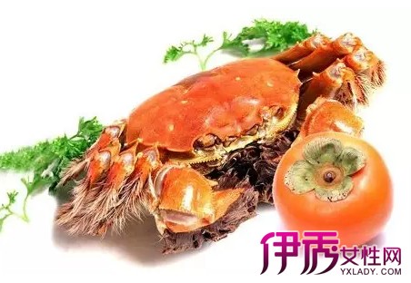 【螃蟹和柿子一起吃会怎样】【图】螃蟹和柿子