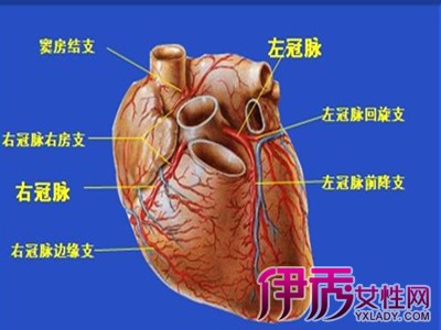 【图】冠心病的定义是什么 了解其诱因及治疗