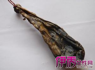 >> 文章内容 >> 熊胆的功效与作用  野生熊胆的功效?