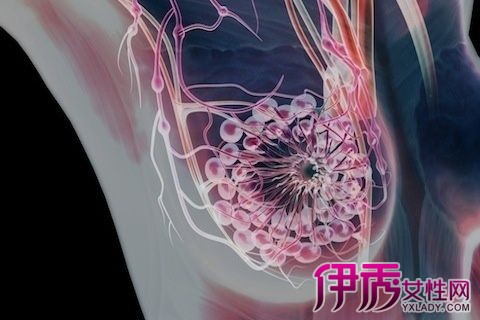 【图】乳房穴位图全解 十招教你拥有健康乳房