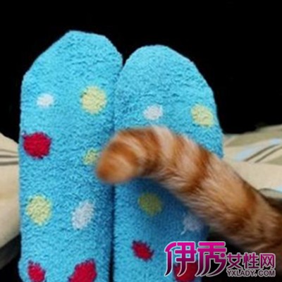 【睡觉穿袜子好吗】【图】冬天晚上睡觉穿袜子