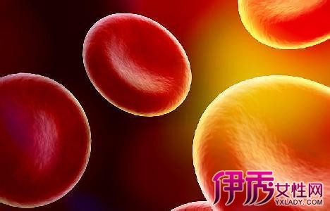 【平均红细胞血红蛋白浓度偏低】【图】平均红