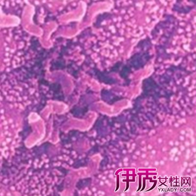 【三联疗法治疗幽门螺旋】【图】三联疗法治疗