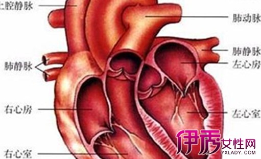 【风湿性心脏】【图】风湿性心脏病有哪些症状