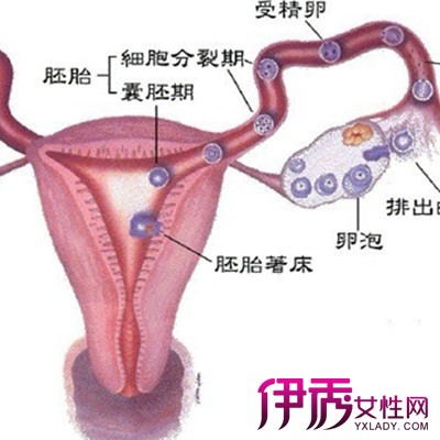 【卵巢囊肿是什么原因】【图】卵巢囊肿是什么