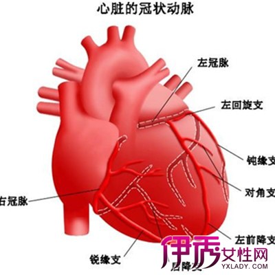 【心肌炎的治疗】【图】揭秘心肌炎的治疗方式