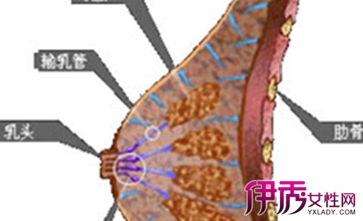 揭乳腺钎维瘤有什么症状 3种治疗方案教你尽早摆脱其困扰