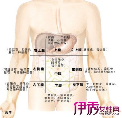 【右上腹部疼痛的可能病因】【图】右上腹部疼