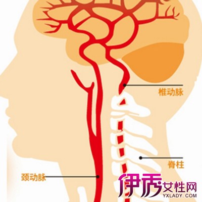 【图】颈部血管受伤了怎么办呢 血管损伤可能会引起哪些并发症