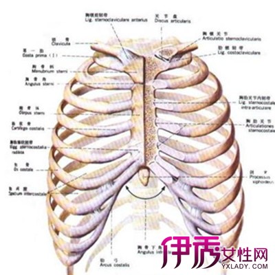 【图】怎样快速治背部岔气 4种起因你注意到没