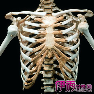 【胸肋软骨炎】【图】胸肋软骨炎有什么表现?
