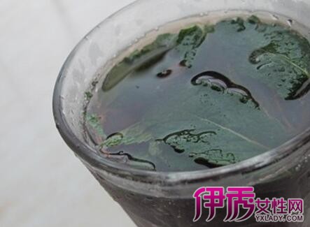 【黑豆水的功效与作用吗】【图】你知道黑豆水