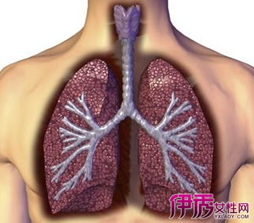 【肺结核通过什么传播的】【图】肺结核通过什