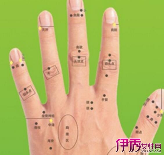 手腕高骨处图片 - 搜图片 - www.wangmingdaquan.cc