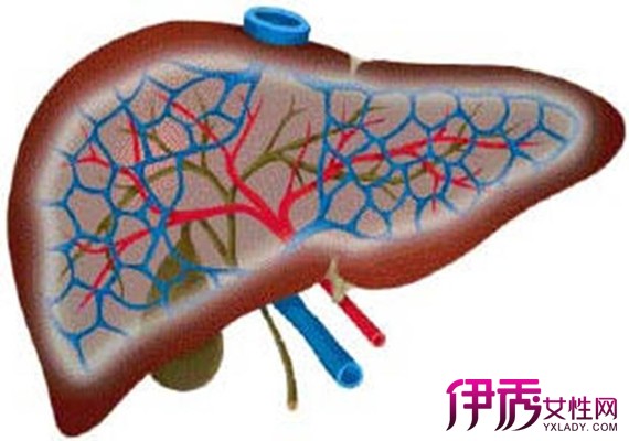 【肝硬化患者如何锻炼身体】【图】分享肝硬化