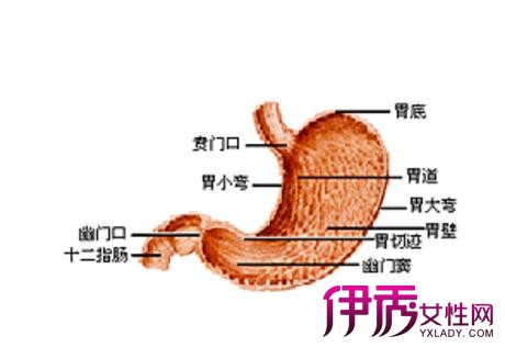 【图】萎缩性胃窦炎的症状有哪些 从5个方面教你来预防