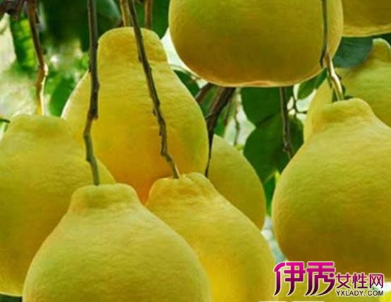 【用柚子皮洗头】【图】用柚子皮洗头介绍 为