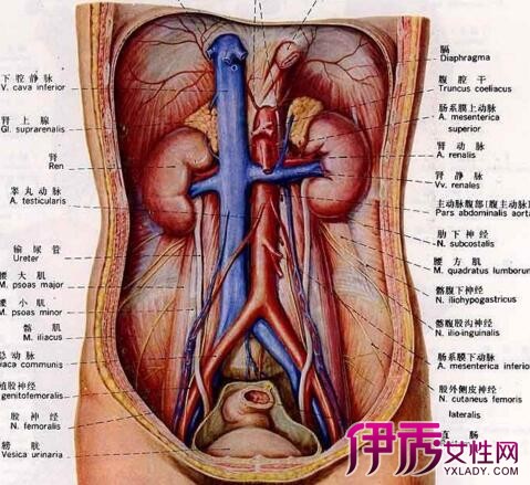 【食道癌症状的晚期表现】【图】食道癌症状的