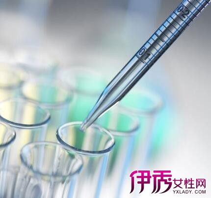 【乙型肝炎病毒dna测定】【图】乙型肝炎病毒