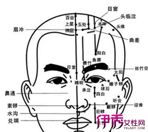 【图】头部穴位位置图分析 3大按摩法教你远离头痛