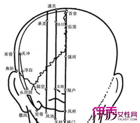 【图】头部穴位位置图分析 3大按摩法教你远离头痛