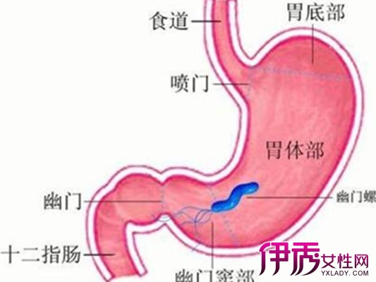 【恶性胃癌能治好吗】【图】恶性胃癌能治好吗