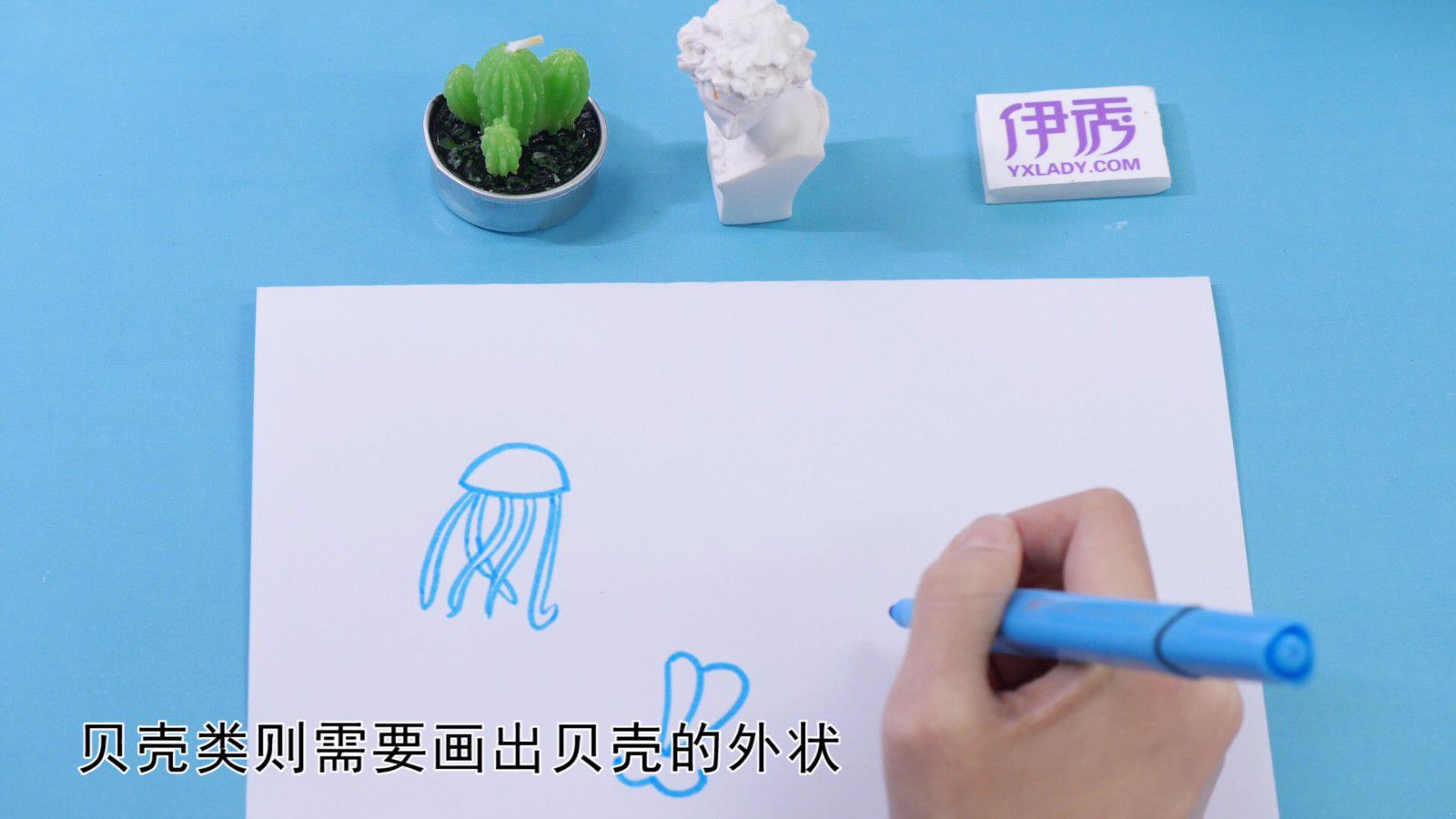 海洋生物简笔画 小孩子都能学会的画画