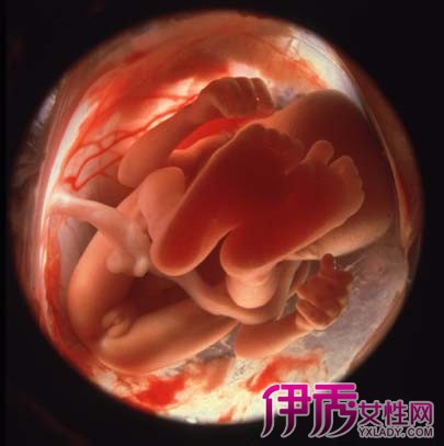 分享怀孕九个月胎儿的图片欣赏 介绍准妈妈会有什么症状