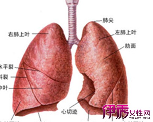 肺气肿病人的注意事项是什么